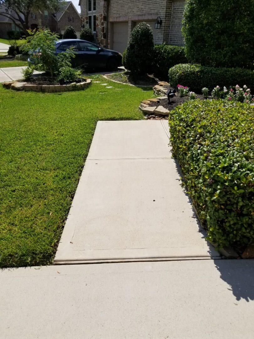 Sunny garden path bordered by green grass and shrubs.