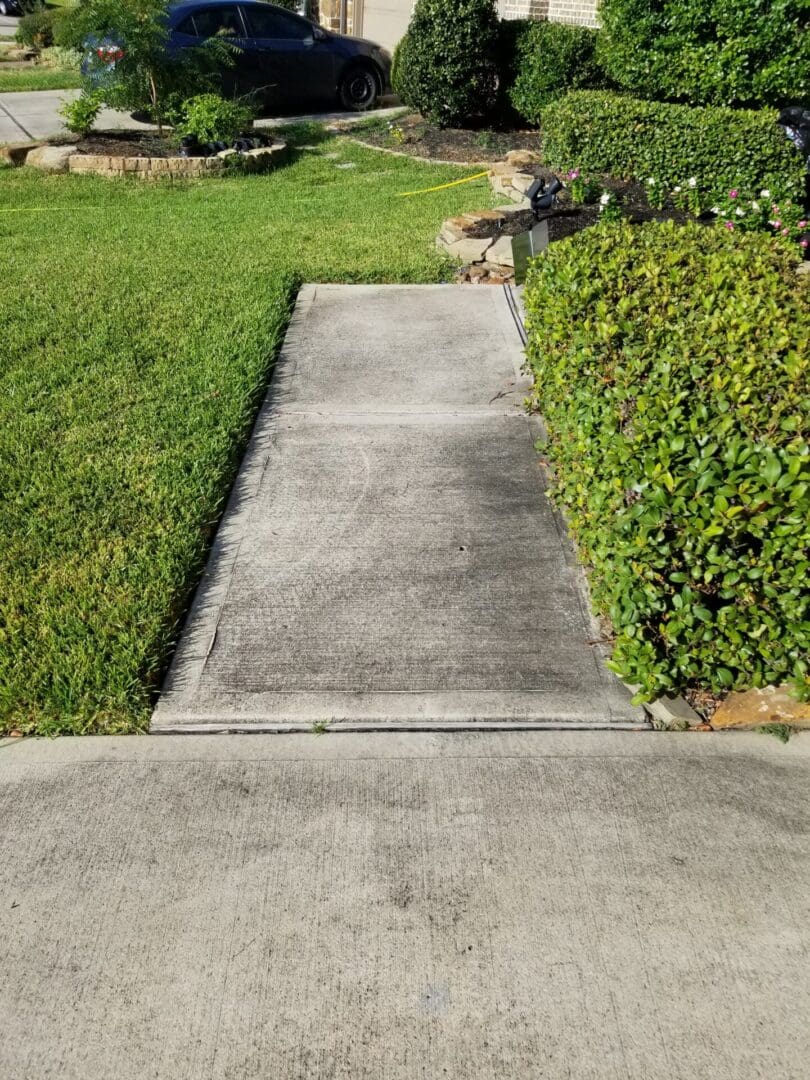 A concrete sidewalk path bordered by green grass and shrubs.