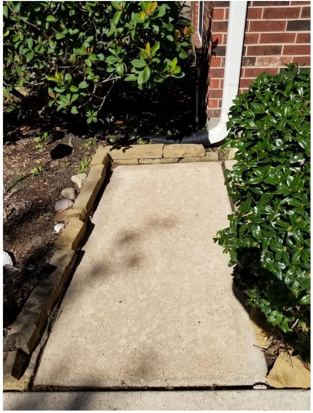 Newly laid concrete sidewalk bordered by bricks and greenery.